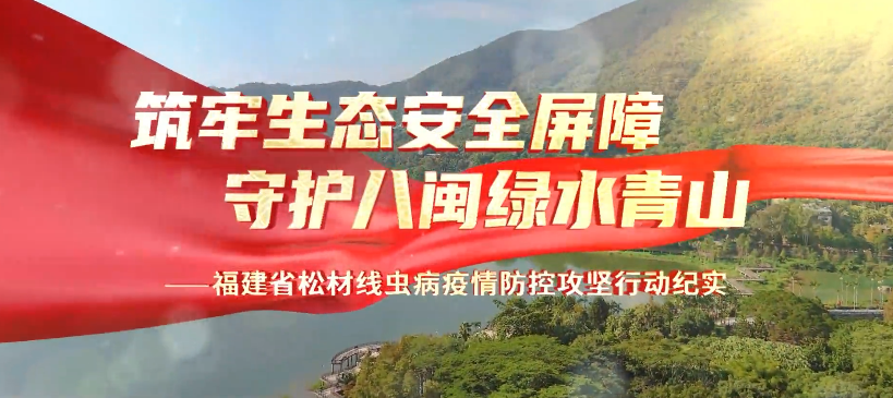 视频 | 筑牢生态安全屏障 守护八闽绿水青山——福建省松材线虫病疫情防控攻坚行动纪实