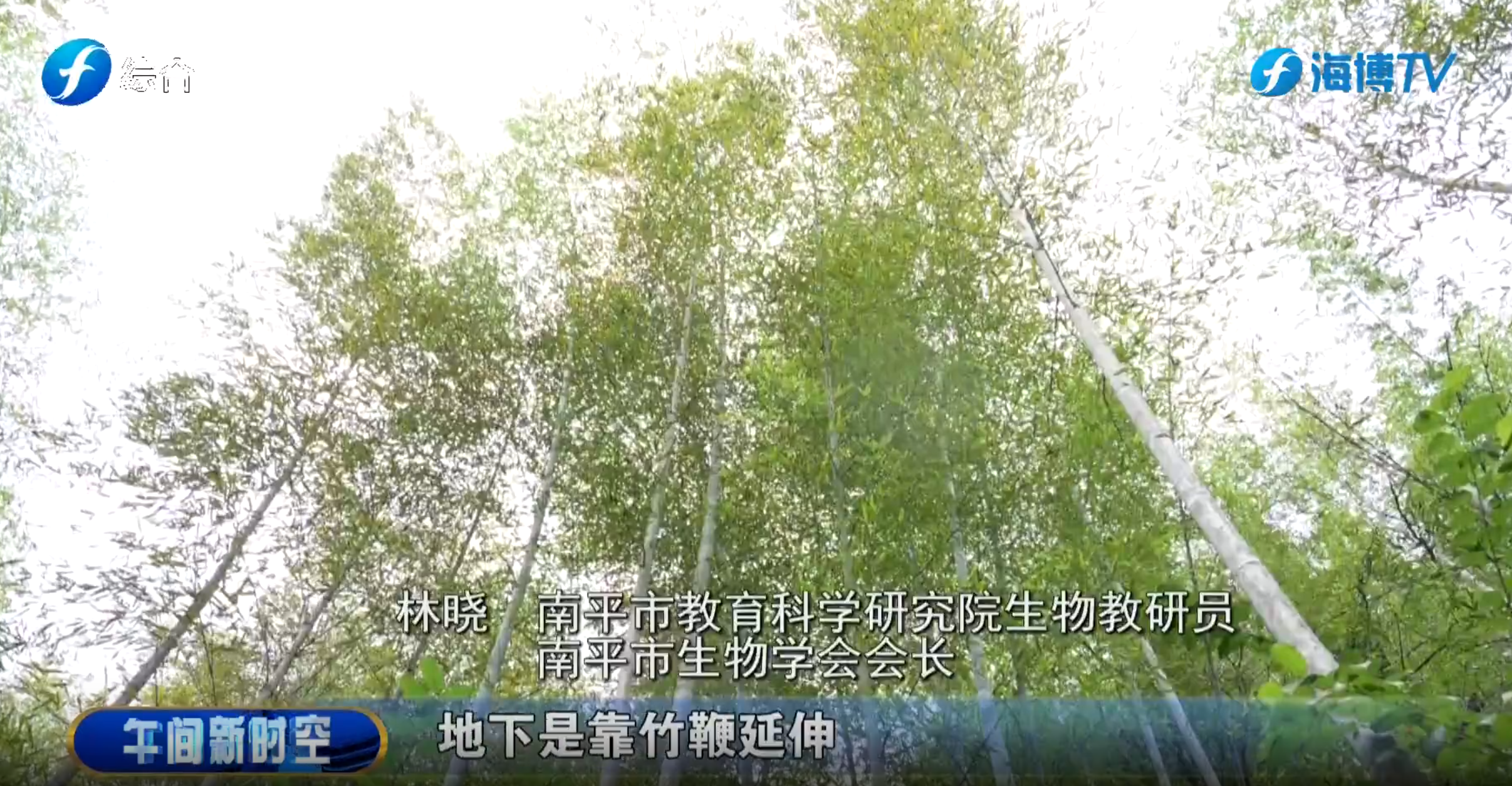 视频 | 南平：武夷山国家公园生物多样性调查研学实践活动举行