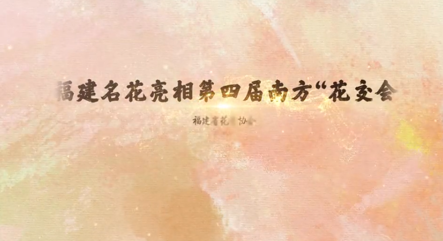福建名花亮相第四届南方花交会