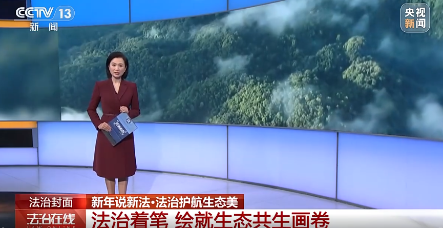 视频 | 新年说新法·法治护航生态美