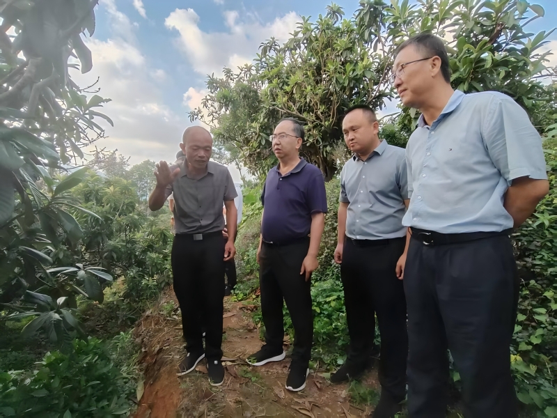 福建省林业局领导赴莆田市指导推进林改和产业发展工作