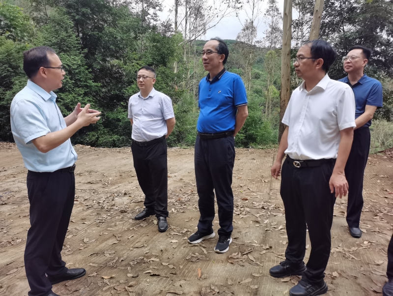 福建省林业局领导赴泉州调研林地使用审批监管及野生动植物保护等工作