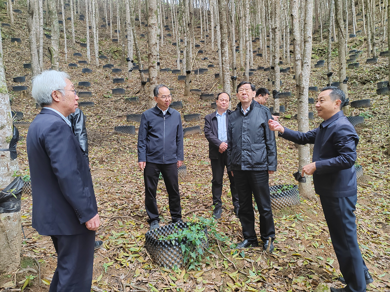 福建省林业局和中智科技评价研究中心联合调研集体林权制度改革工作