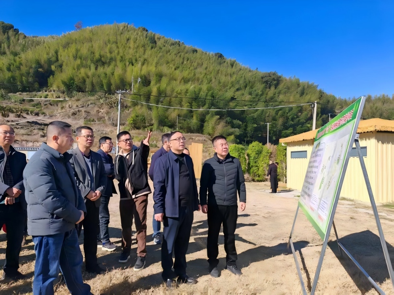 福建省林业局领导赴漳州调研指导森林“四库”联动试点等工作