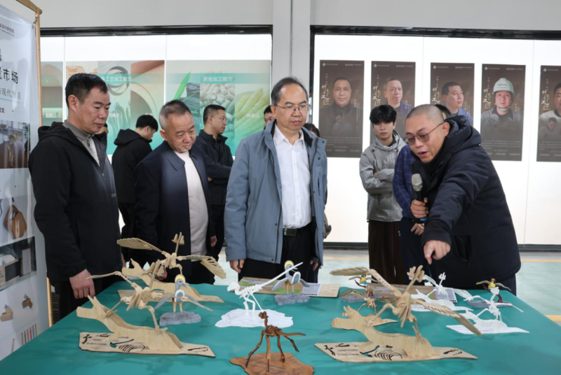 福建省林业局领导赴南平市指导推进林业产业发展工作