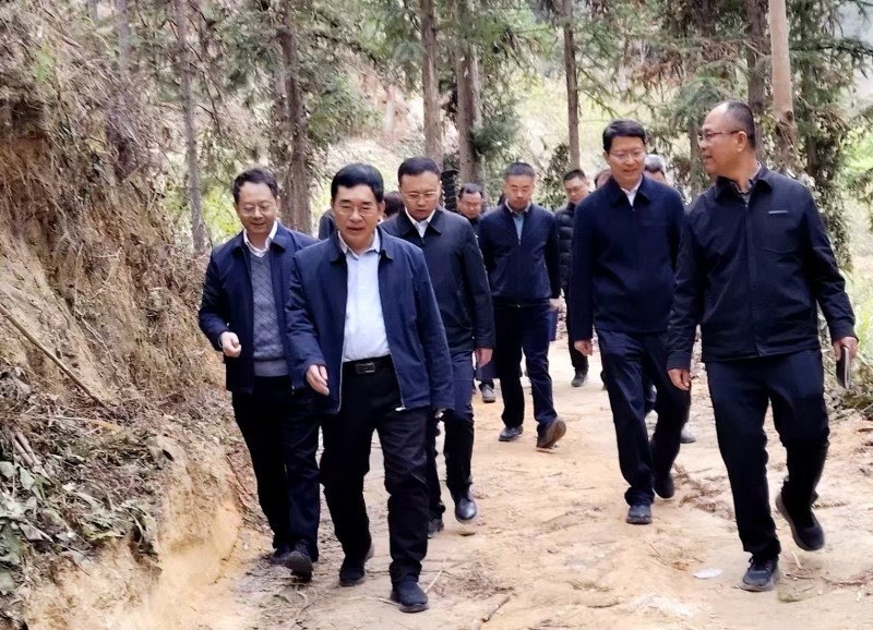 福建省林业局领导赴永泰县开展春节慰问并调研林业工作
